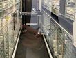 robot-pharmacie-automatisation-stockage